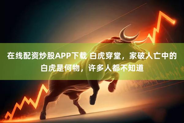 在线配资炒股APP下载 白虎穿堂，家破人亡中的白虎是何物，许多人都不知道